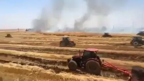 Viranşehirde anız yangını çiftçinin emeğini yaktı