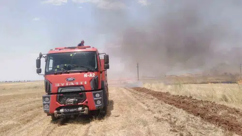 Nusaybin’de anız yangını korkuttu