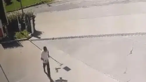 Elazığ’da karga saldırısı vatandaşa zor anlar yaşattı