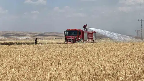 Mardin’de hasat mevsiminde 300 dönüm tarlayı yangın yuttu