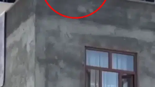 Narin Güran davasının tutuklusunun yakınları sokak ortasında birbirine girdi
