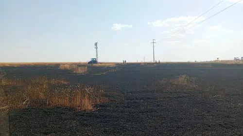 Cizre’de buğday hasadı öncesi korkutan yangın
