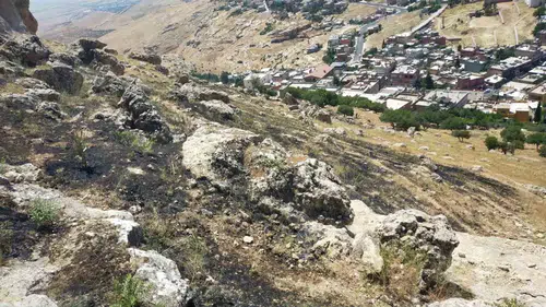 Mardin Yeşilli’de orman yangını korkuttu