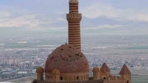 İshakpaşa Sarayı’nın kubbesinde biten otlar ziyaretçileri endişelendiriyor
