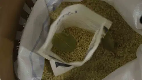 Diyarbakır’ın volkanik pirinci laboratuvar onayını aldı