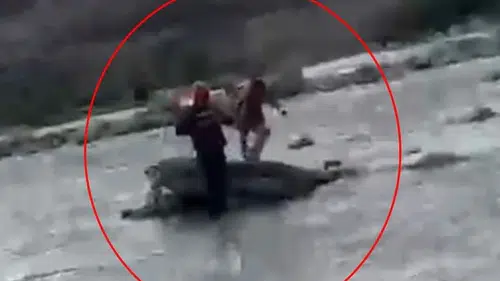 Siirt Kezer Çayında yükselen sular bir çocuğu kayalıkların üzerinde hapsetti