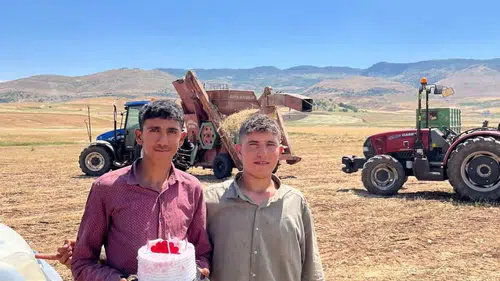 Siirt tarlalarında 40 derecede doğum günü molası