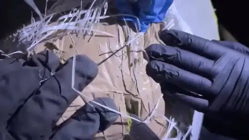 Yüksekova kırsalında düzenlenen operasyonda 503 kilogram esrar yakalandı