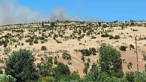 Dicle Küpetaşı’nda alevler ağaçlık alana sıçradı