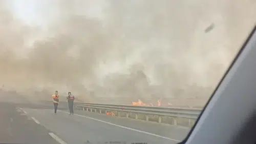 Mardin'de anız yangınları tarım arazilerini küle çevirdi