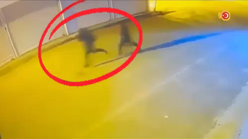 Diyarbakır merkezli suç örgütüne dev operasyon