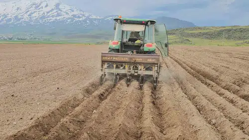 Bitlis Aydınlar beldesinde fasulye mesaisi başladı