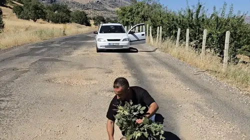 Çermik yolundaki derin çukurlara tepki olarak ağaç diktiler