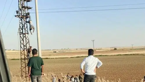 Şanlıurfa'da elektrik direğinde can pazarı yaşandı