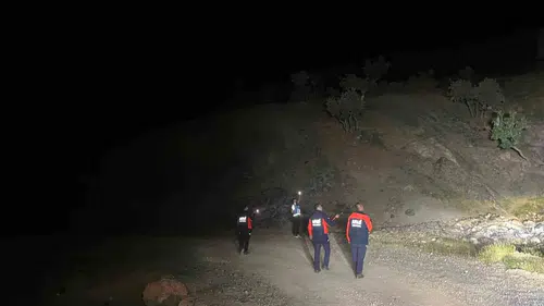 Siirt'te kayıp çobanı bulmak için geniş çaplı arama başlatıldı