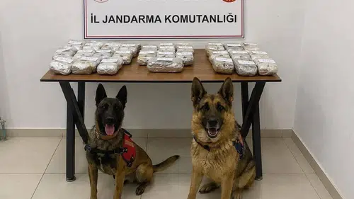 Şemdinli yolunda zehir tacirlerine jandarma operasyonu
