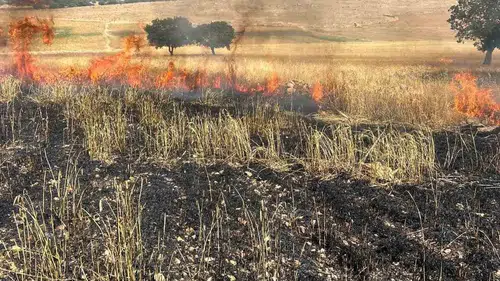 Diyarbakır Çınar’da 200 dönüm buğday kül oldu
