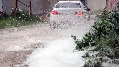 Erciş’te polenler kabus oldu