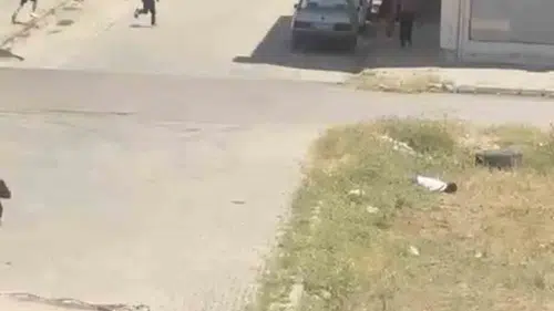Mardin’deki komşu kavgasının dehşet anları kameraya yansıdı