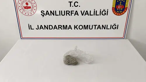 Şanlıurfa jandarmasından iki ilçede suç unsurlarına yönelik eş zamanlı operasyon