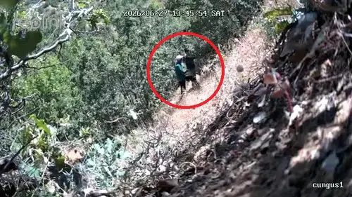 Çüngüşte ormanda kenevir sulayan CHP ilçe başkanı ile oğlu yakalandı