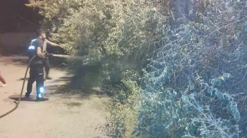 Başkale ilçesindeki bir bahçede çıkan yangın paniğe yol açtı