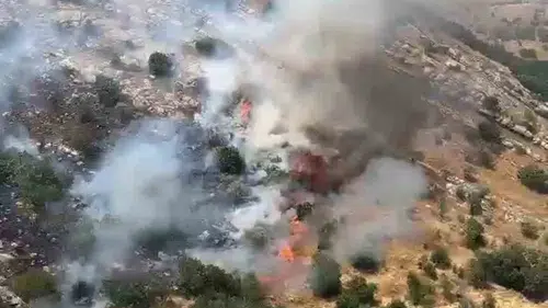 Diyarbakır genelinde etkili olan orman yangınları kontrol altına alındı
