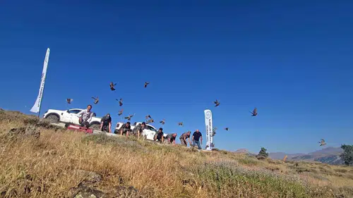 Diyarbakır doğasına kene avcısı kınalı keklikler salındı