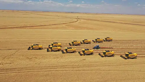 Şanlıurfa Ceylanpınar'da dev hasat operasyonu başladı