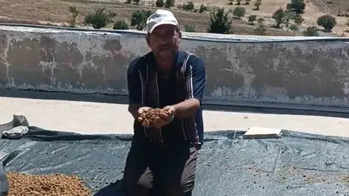 Diyarbakır Çermik'te bereketli dut sezonu tezgahlarda başladı