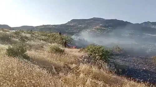Dicle kırsalında kontrol altına alınmaya çalışılan alevler paniğe neden oldu?