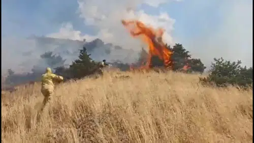 Bingöl Genç ilçesindeki orman yangını ekiplerin müdahalesiyle tamamen söndürüldü