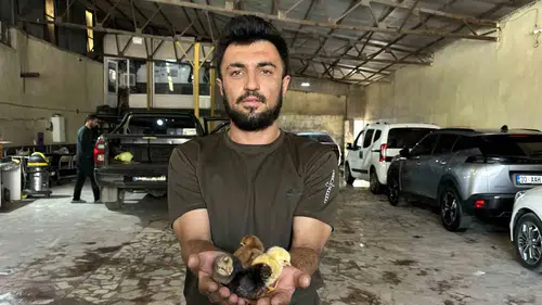 Yüksekova oto yıkama dükkanında kendi kuluçka makinesini üreterek tavukçuluk işine girdi