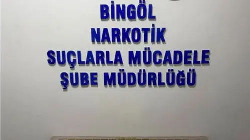 Bingöl yolunda durdurulan araçtan 600 adet fişek çıktı