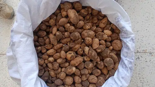 Bingöl doğasına zarar verenlere 4 milyon liranın üzerinde ceza kesildi
