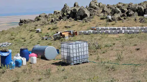 Bitlis Süphan Dağı eteklerinde çiçekler bal üretimine can suyu oldu