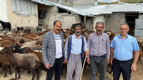 Ağrılı hayvancılara yarı fiyatına süt sağım ve kırkım desteği geldi