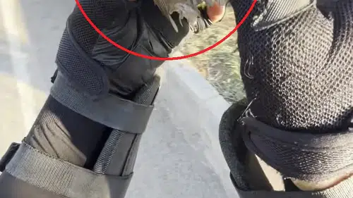 Diyarbakırlı kurye yolda çırpınan serçenin hayatını kurtardı