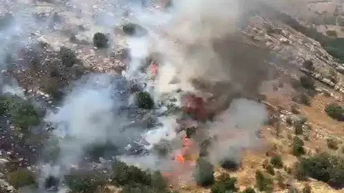 Diyarbakır'da dört ilçede aynı anda yükselen dumanlar korkuttu: Ekipler alevlere geçit vermedi