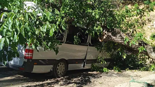 Çukurca'da park halindeki minibüs ağaç altında kalarak büyük hasar gördü