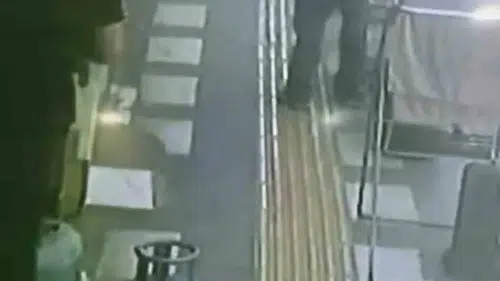 Kızıltepe'de iş yeri önündeki papağan böyle çalındı