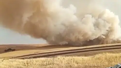Mazıdağı kırsalındaki tarım arazisinde yangın paniği yaşanıyor