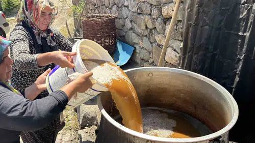 Bingöl Servi köyünde geleneksel yöntemlerle dut pekmezi üretimi başladı