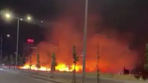 Kayapınar ilçesindeki otluk alanda çıkan yangın korku dolu anlar yaşattı