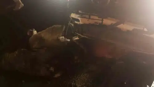 Diyarbakır Çınar yolunda sürüye dalan otomobil 15 koyunun ölümüne yol açtı