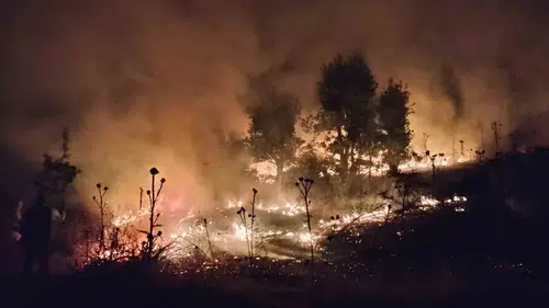 Şırnak Bestler Dereler bölgesinde devasa buğday tarlası alevlere teslim oldu