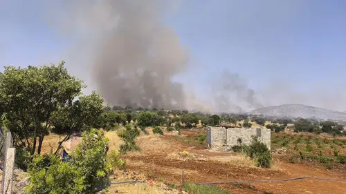 Dicle kırsalında alevler geniş bir alana yayıldı