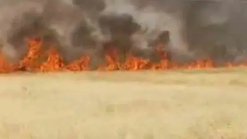 Şanlıurfa Haliliye ilçesinde büyük buğday yangını