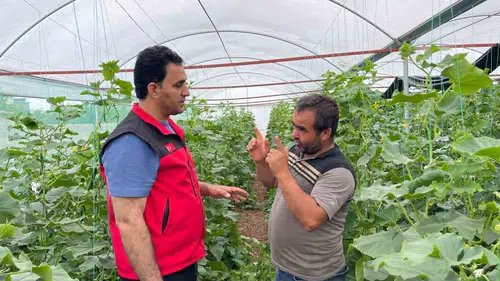 Suruç Ovasında su bereketi mevsimlik işçiliği tarihe gömdü