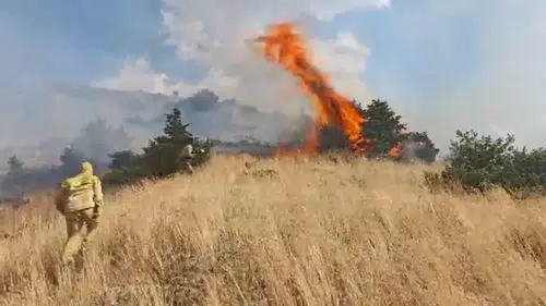 Bingöl Genç ilçesindeki ormanlık alanda çıkan yangın söndürüldü